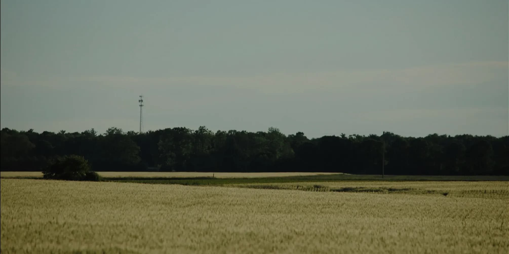 Image de héros